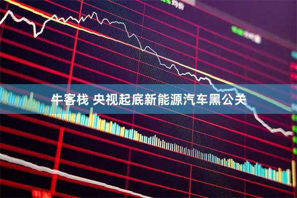 牛客栈 央视起底新能源汽车黑公关
