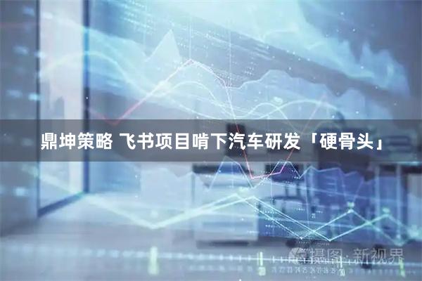 鼎坤策略 飞书项目啃下汽车研发「硬骨头」