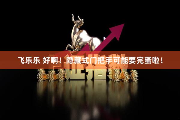 飞乐乐 好啊！隐藏式门把手可能要完蛋啦！