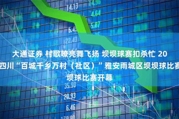大通证券 村歌嘹亮舞飞扬 坝坝球赛扣杀忙 2025年四川“百城千乡万村（社区）”雅安雨城区坝坝球比赛开幕