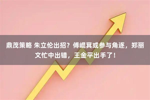 鼎茂策略 朱立伦出招？傅崐萁或参与角逐，郑丽文忙中出错，王金平出手了！
