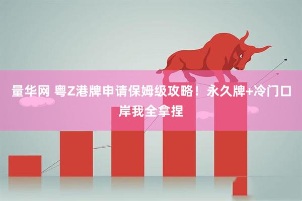 量华网 粤Z港牌申请保姆级攻略！永久牌+冷门口岸我全拿捏
