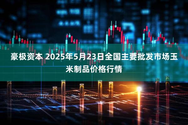 豪极资本 2025年5月23日全国主要批发市场玉米制品价格行情